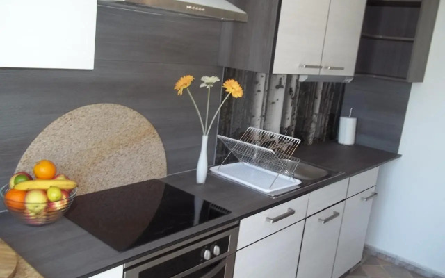 Apartment Silva