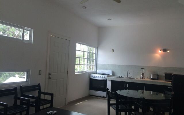 Nasim Condo Hotel acceso Gratis Beach Club, a metros 5th Avenida