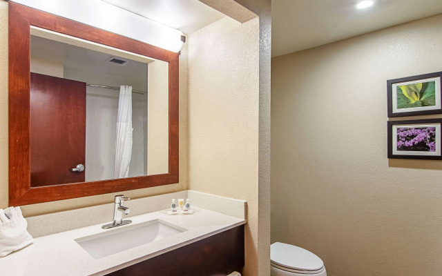 Comfort Suites Knoxville Airport