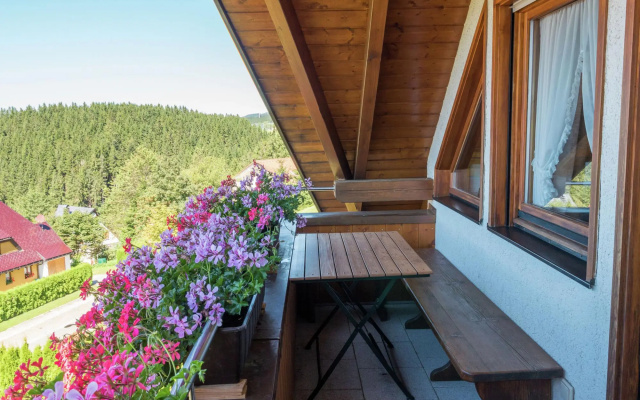 Cosy apartment with balcony in the beautiful Black Forest