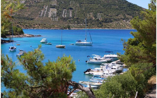 Elvi - Amazing Position & Parking - A3