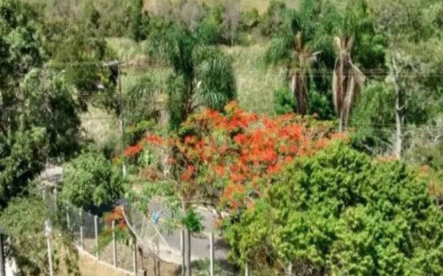 Village dos Pássaros