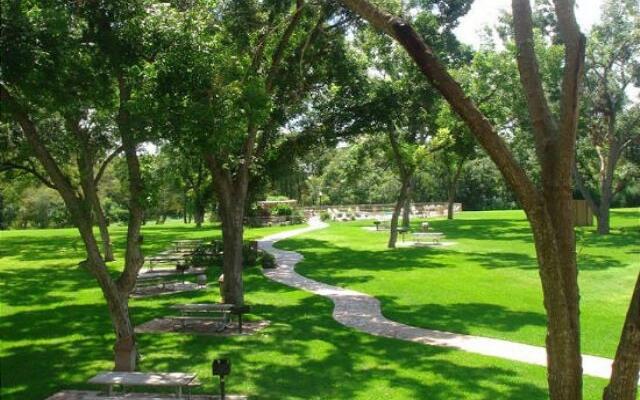 Gracelanda WW C302 in New Braunfels