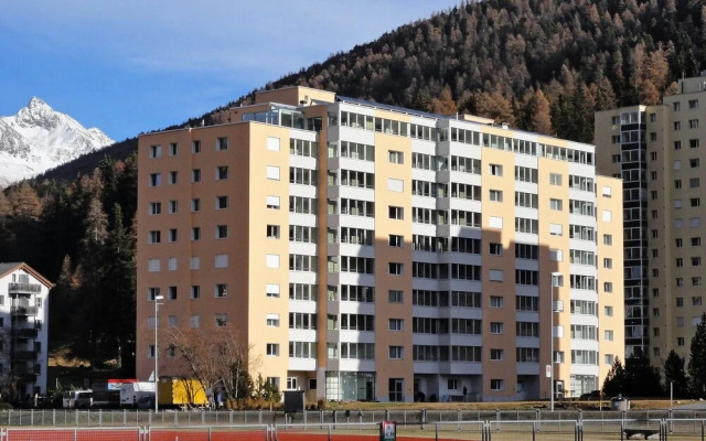 Ova Cotschna 12/14 - Inh 26004
