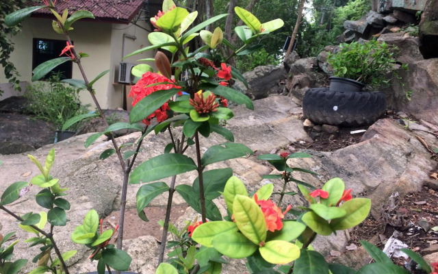 Sunrise Villas Seaview