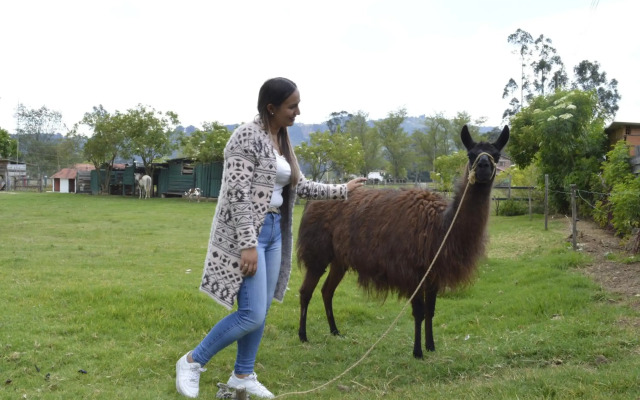 Villa de Libertad DF