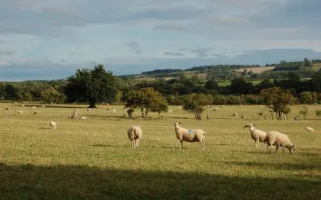 The Farm Snead Bed & Breakfast