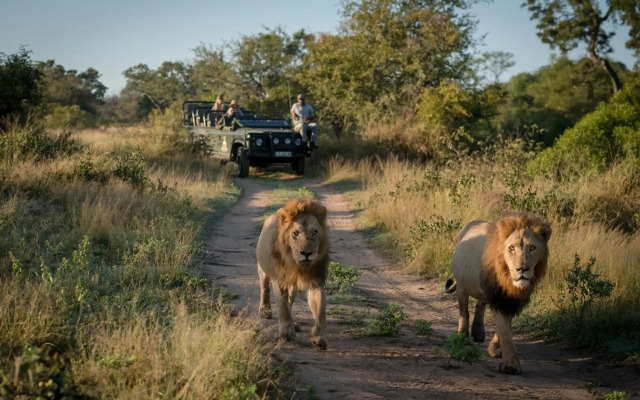 Makumu Private Game Lodge