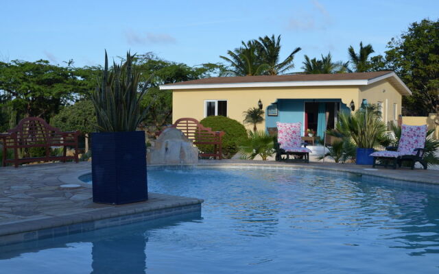Paradise Apartment