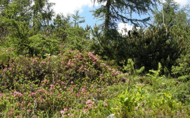 Hotel Garni Anzengruber