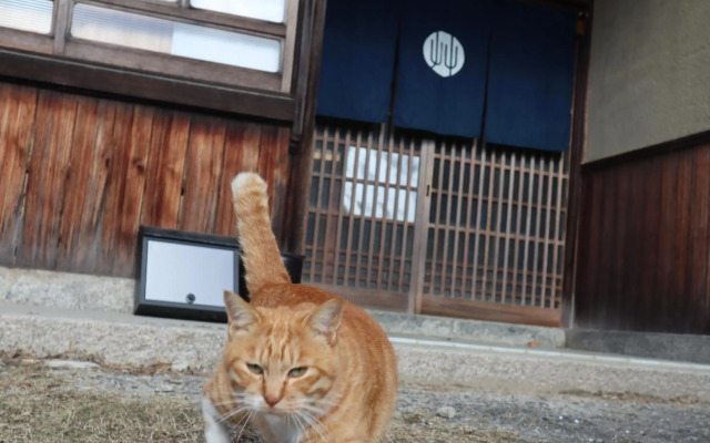 Guesthouse with Cat and Honeybee Kusachike