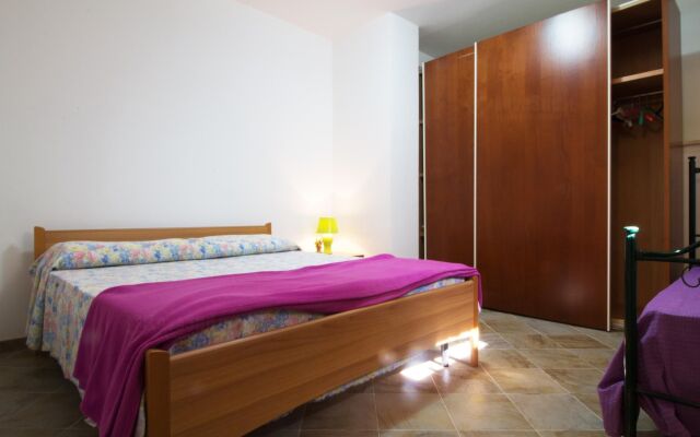 Pino Amazing Seaview