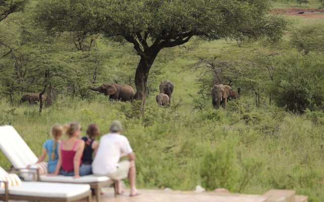 Spirit Of The Masai Mara