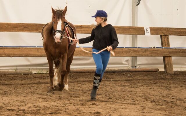 Reiter- und Ferienhof Storchennest