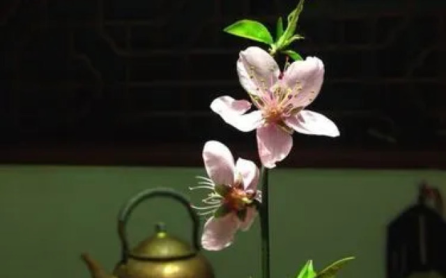 Suzhou Arts Yinxi Heyuju Pingjiang Road