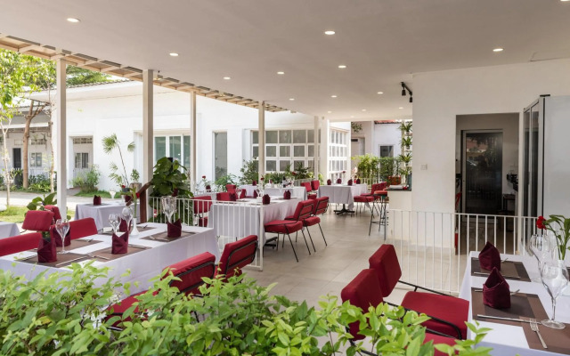 Elysium Suite