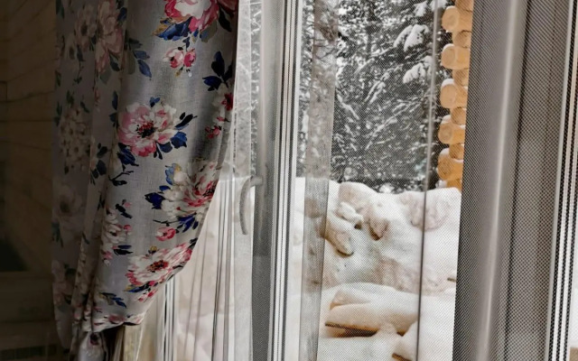 Сила Сибири