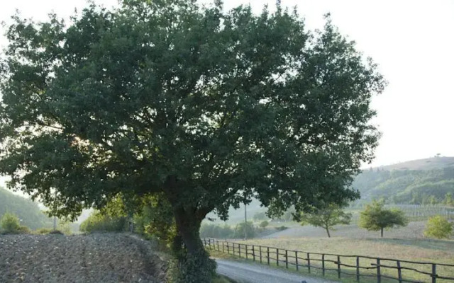 Agriturismo Casa Verragoli