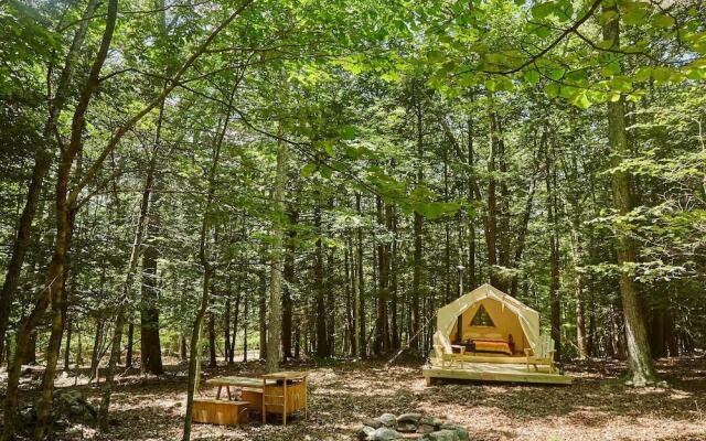 Tentrr - Little Bear