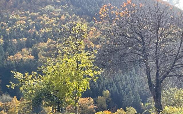 Apartment Sports Tower