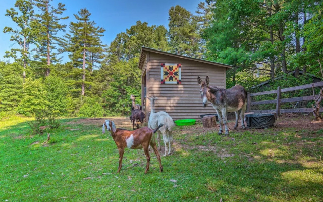 Rustic & Authentic Farm Stay by Dupont Forest!