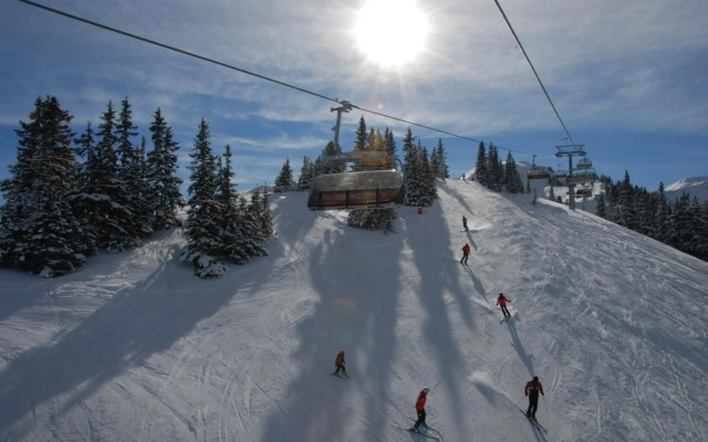 Chalet Styria