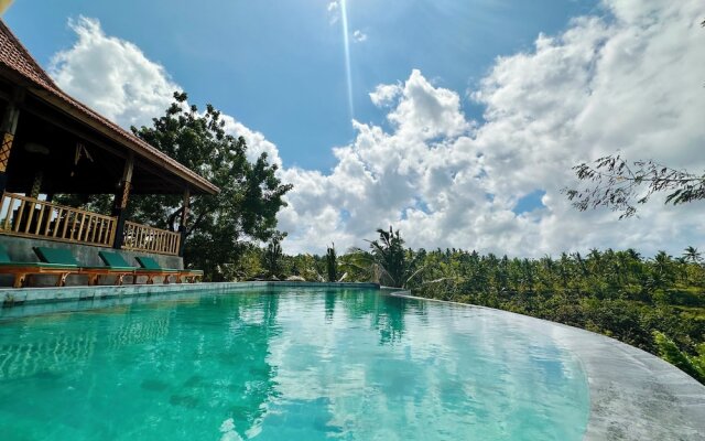 Green Coco Suite