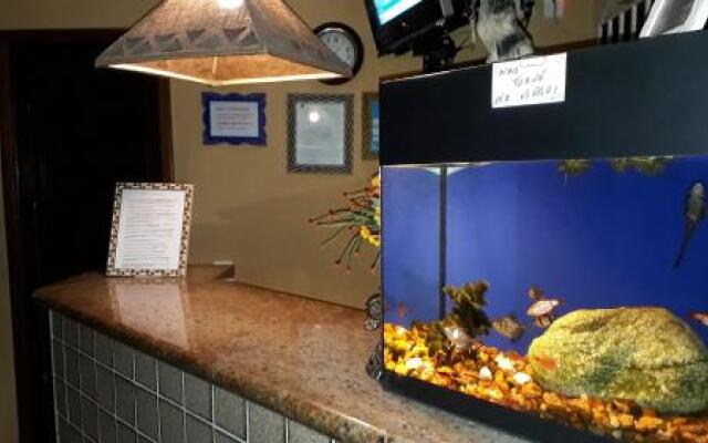 Pousada dos Suricatos