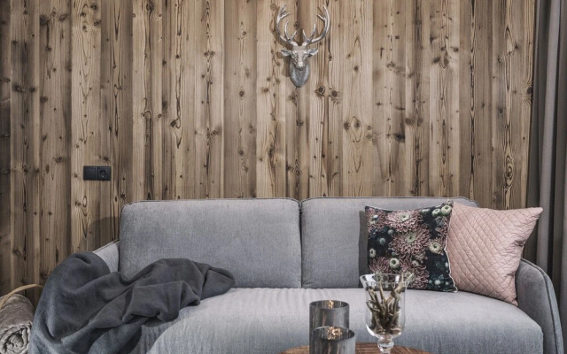 Platzhirsch Apart  Mayrhofen