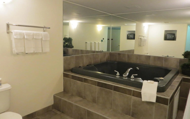 Comfort Inn & Suites Downtown Edmonton