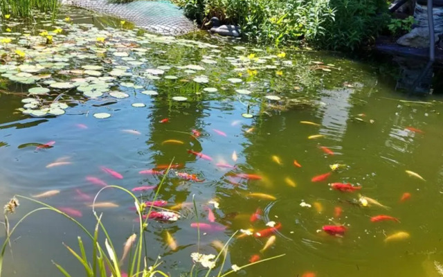 Quiet apartment close to town