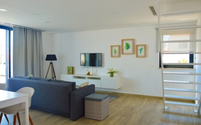 Biscuttela Vicentina