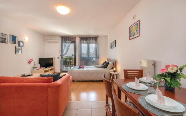 Nice Apartment in Liznjan With Wifi