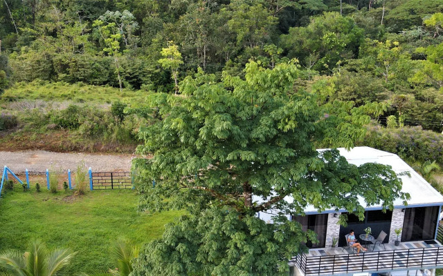 Rio Celeste Nature View