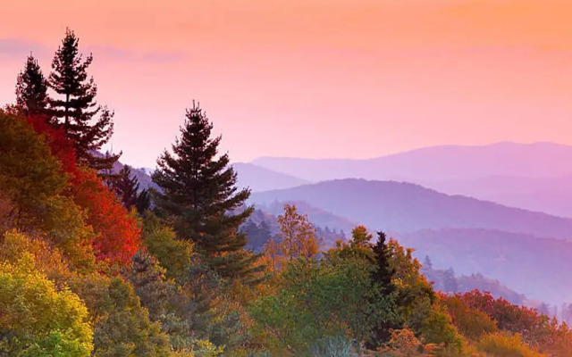 Romantic Honeymooner Hot Tub Jacuzzi Swing FP