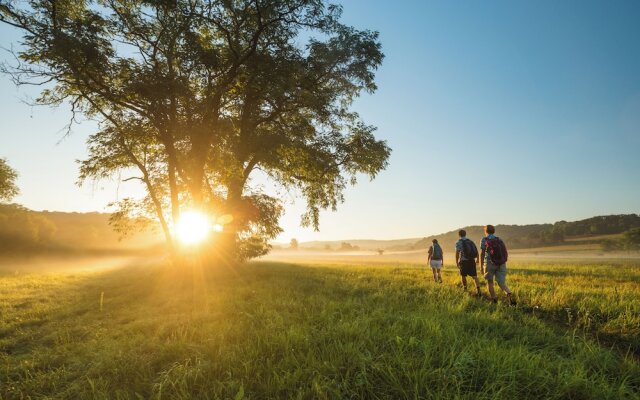 BollAnt's Spa Im Park