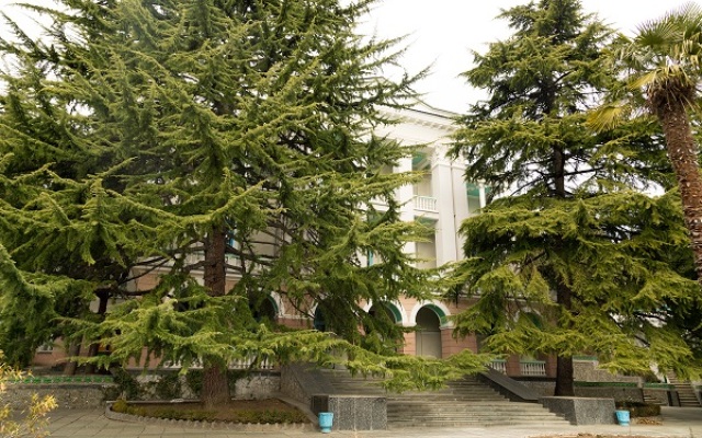 Professorskiy Ugolok Sanatorium
