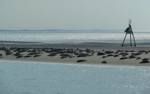 Holiday Home Old Customs House