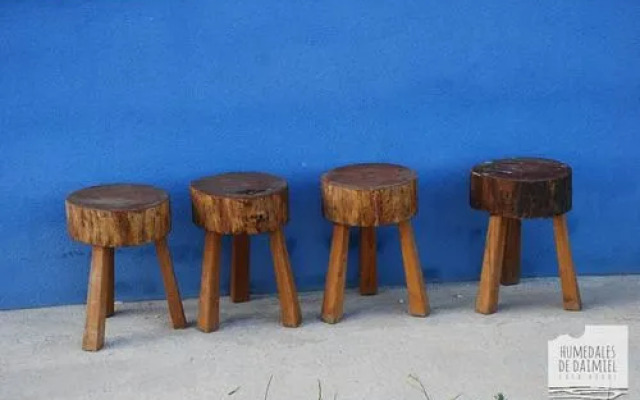 Humedales de Daimiel