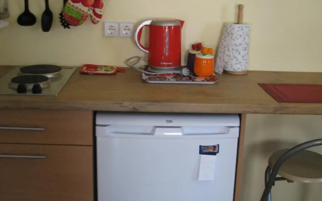 Poilsis pas Virginiją