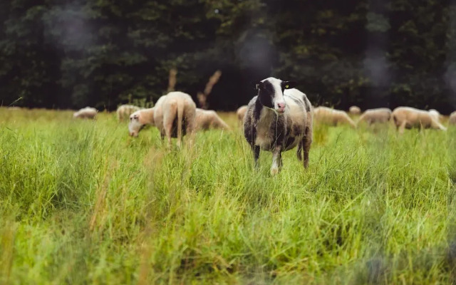 Chalet Near Trails & Town