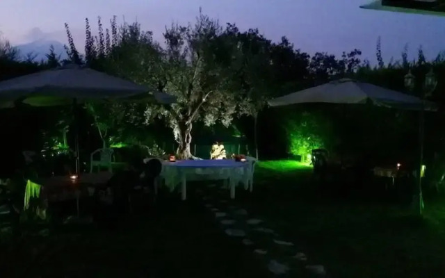 Residence Belvedere