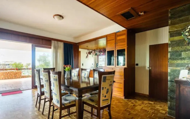 Elena's Athenian Penthouse