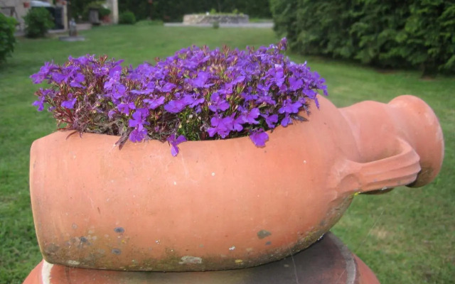 Regenbogen Bungalows