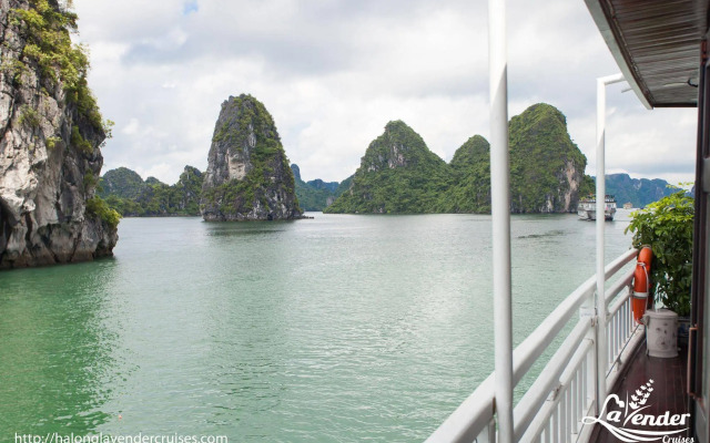 Lavender Elegance Cruise
