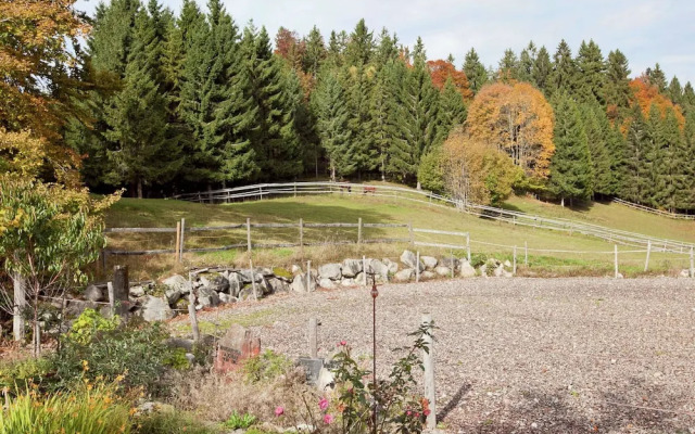 Apartment in Dachsberg-urberg