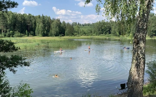 ShelestGlamp (Шелест)