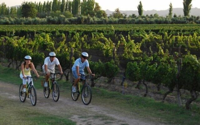 Apartamento entre viñedos