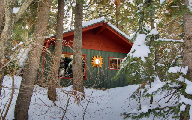 Treehouse by the Stream