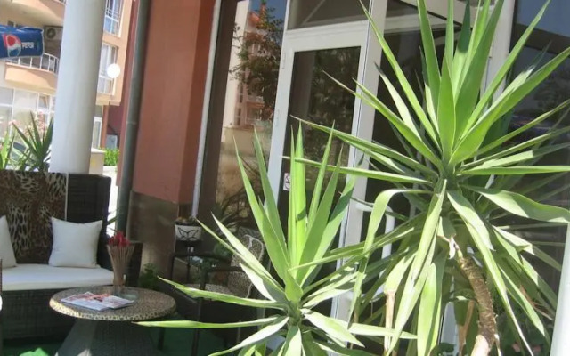 Guest House Orchidea